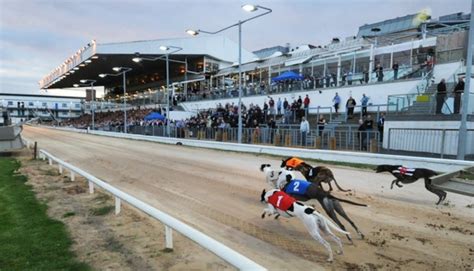 igb upcoming sweepstakes shelbourne|Go Greyhound Racing Dublin .